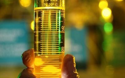 día Internacional del biodiesel