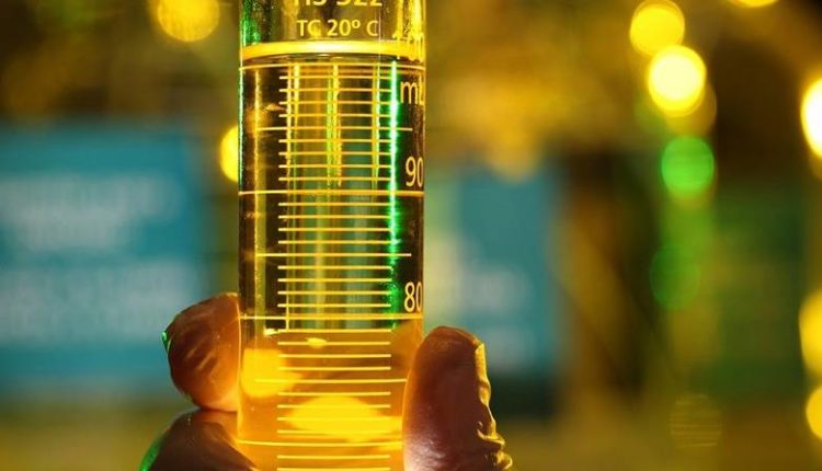 dia internacional do biodiesel